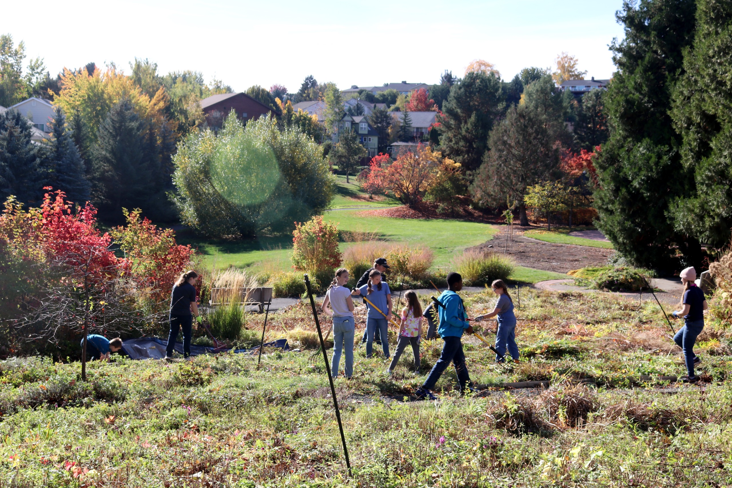 Lawson Gardens Volunteers