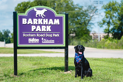 Barkham Park.
